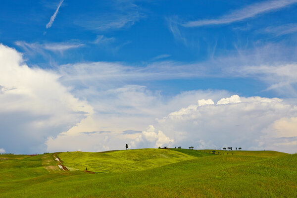 Тосканские холмы и сельская местность в регионе Сиенна, Италия
