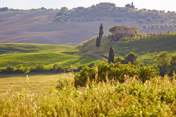 Countryside, San Quirico d 'Orcia, Tuscany, Italy — стоковое фото