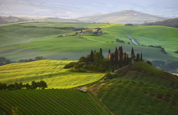 Countryside, San Quirico d 'Orcia, Tuscany, Italy — стоковое фото