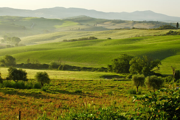 Countryside, San Quirico d'Orcia , Tuscany, Italy