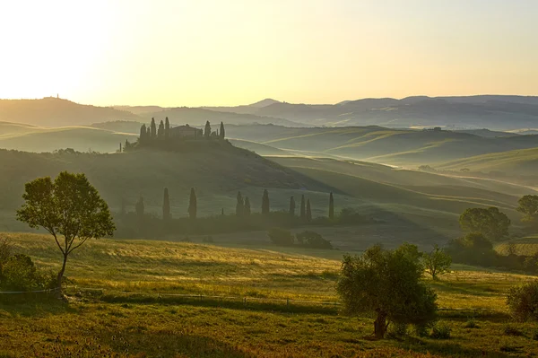 Countryside, San Quirico d 'Orcia, Tuscany, Italy — стоковое фото