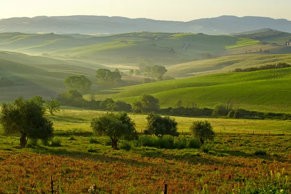 Landschaft, San Quirico d 'orcia, Toskana, Italien — Stockfoto