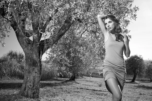 Женщина среди оливковых деревьев — стоковое фото