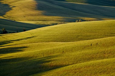 kırsal, san quirico d'orcia