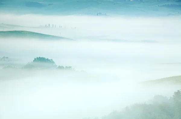 Toskanska dimma — Stock fotografie