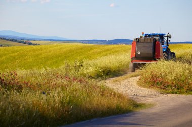 Traktör Toskana alanları