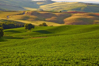 kırsal, san quirico d'orcia
