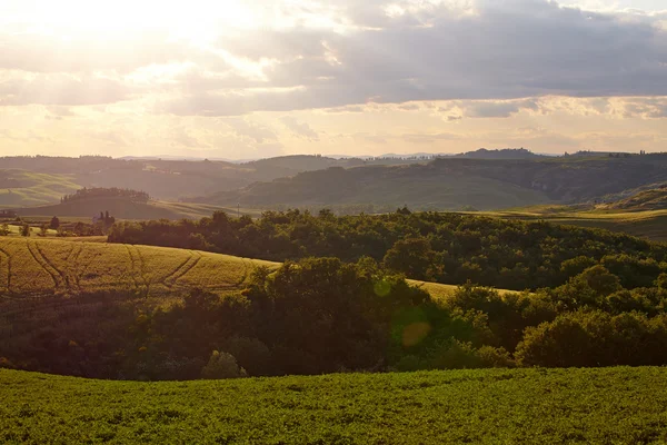 Кантрисайд, San Quirico d 'Orcia — стоковое фото