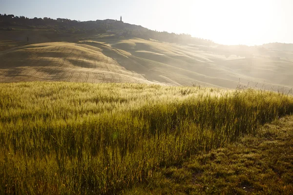 Colinas Toscana — Foto de Stock