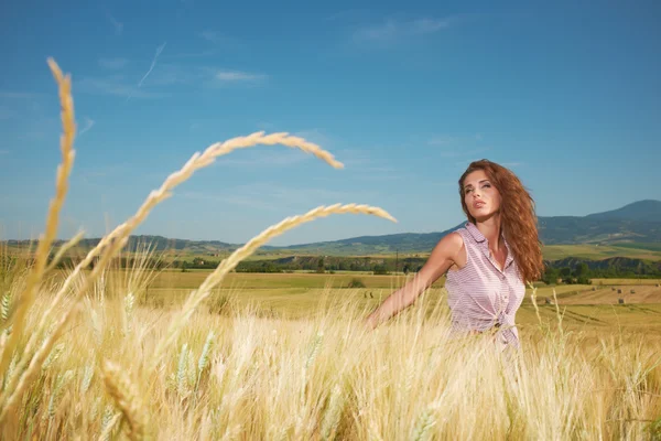 Beautiful woman in a wheat field — Stock Photo, Image