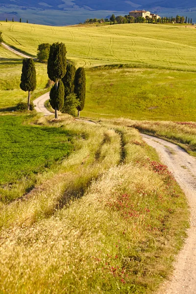 Heuvels van Toscane in de ochtend — Stockfoto