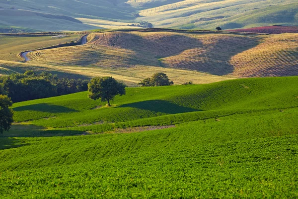 Heuvels van Toscane in de ochtend — Stockfoto