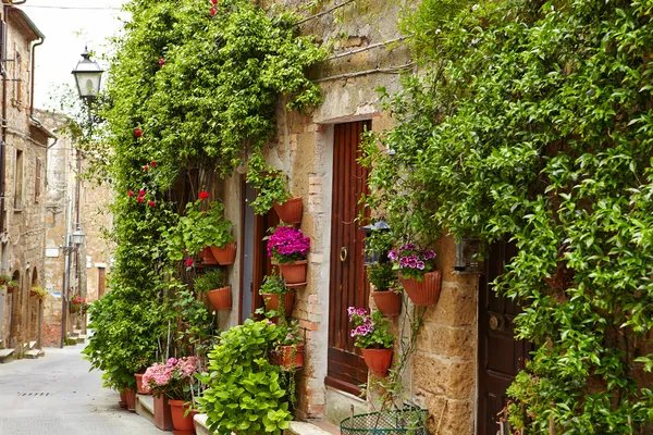 Blumen säumen Steinmauer — Stockfoto