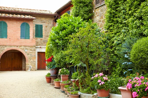 Flowers lining stone wall — Stock Photo, Image