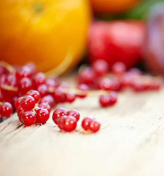 Red currants — Stock Photo, Image