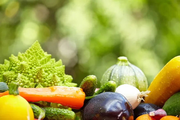 Produtos hortícolas e frutas orgânicos frescos — Fotografia de Stock