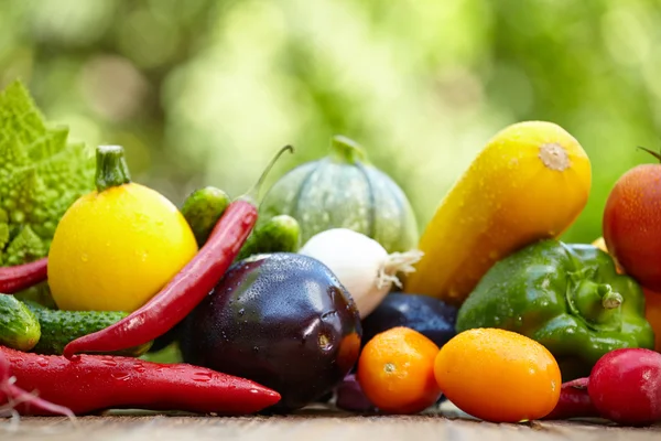 Färska ekologiska grönsaker och frukter — Stockfoto