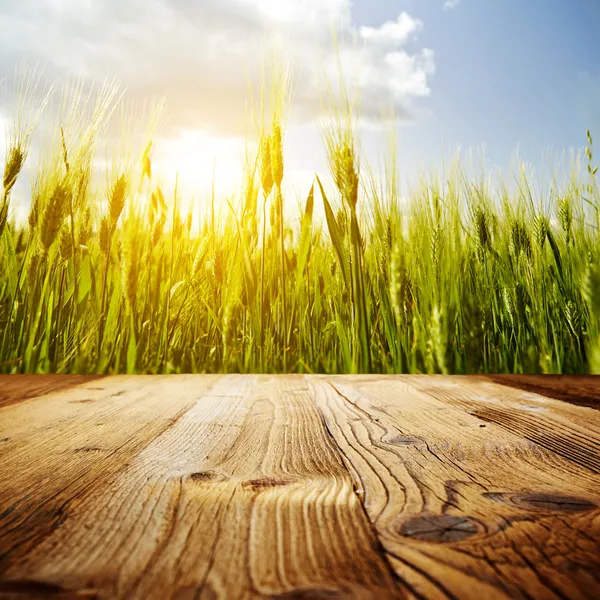 Houten tafel op veld — Stockfoto