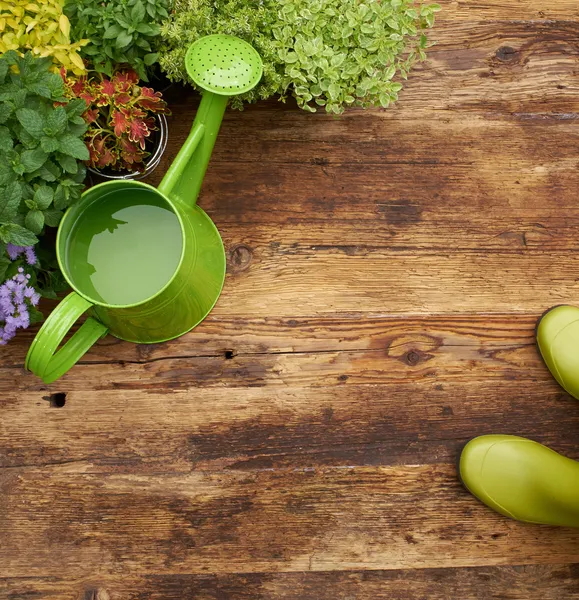 Frame van tuingereedschap en bloemen. — Stockfoto