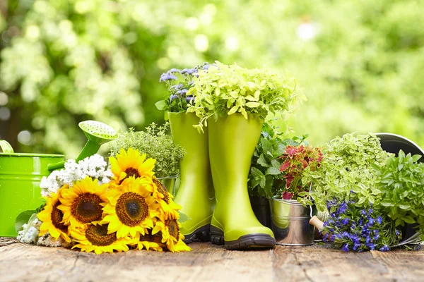 Herramientas de jardinería exterior — Foto de Stock