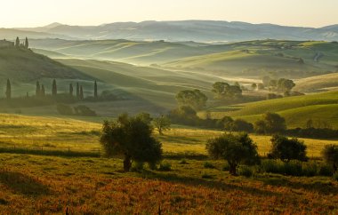 kırsal, san quirico d orcia, Toskana, İtalya