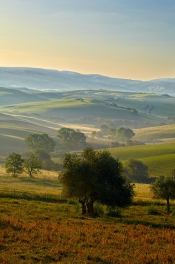 kırsal, san quirico d orcia, Toskana, İtalya