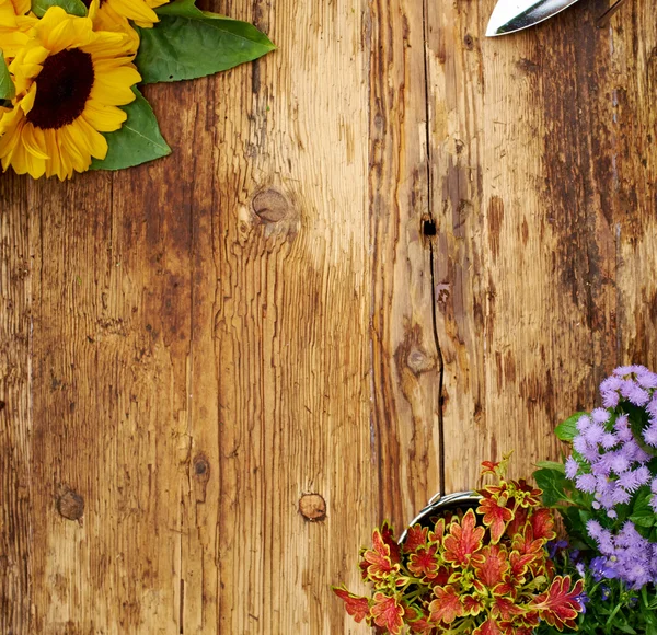 Venkovní zahradní nářadí na starý dřevěný stůl — Stock fotografie