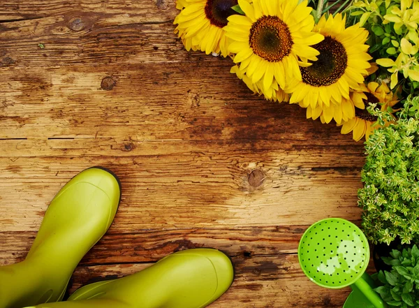 Frame of garden tools and flowers. Top view. — Stock Photo, Image