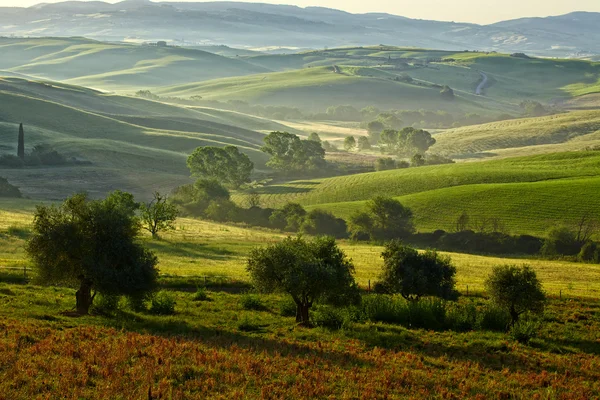 Countryside, San Quirico d Orcia , Tuscany, Italy — Stock Photo, Image