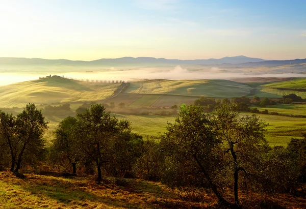 Paisaje típico de Toscana, Italia —  Fotos de Stock