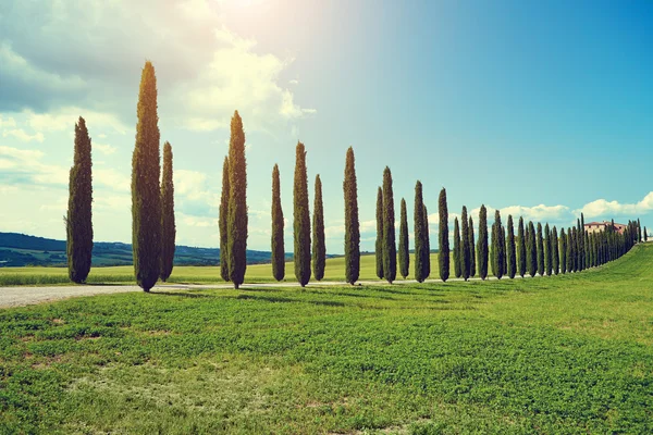Typisch Toscaanse landschap — Stockfoto