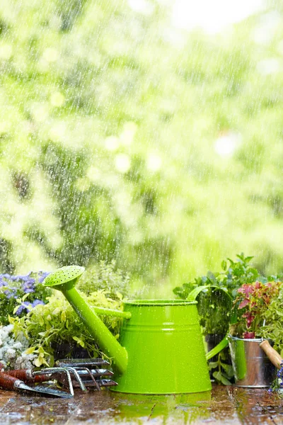 在雨中的园艺工具 — 图库照片