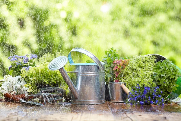 Yağmurda Bahçe aracı — Stok fotoğraf