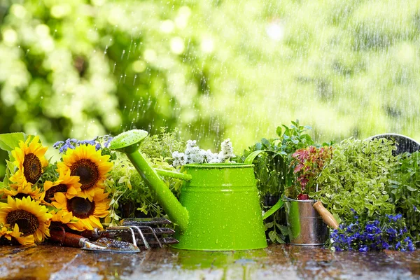 Ferramenta de jardinagem na chuva — Fotografia de Stock