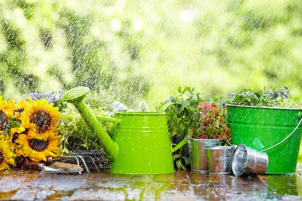 Outil de jardinage sous la pluie — Photo