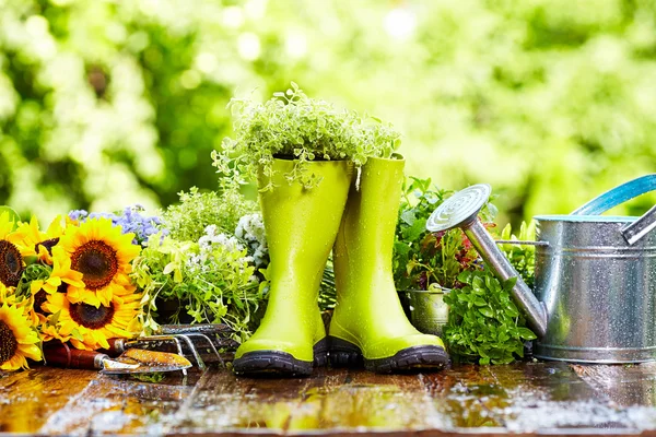 Trädgårdsarbete verktyg i regn — Stockfoto