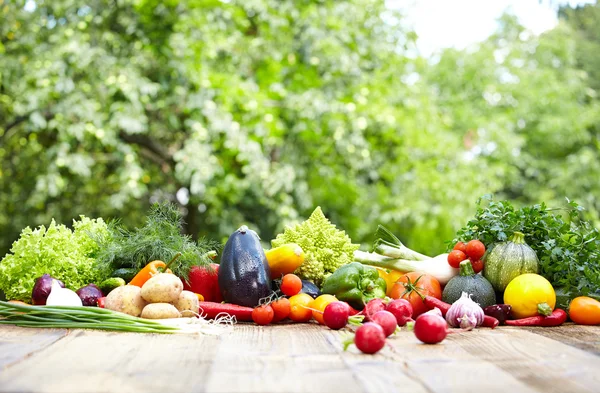 Fresh organic vegetables and fruits — Stock Photo, Image