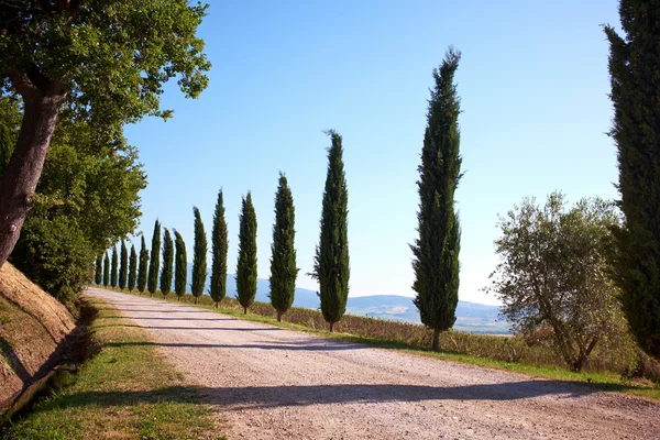 Landweg in Toscane — Stockfoto