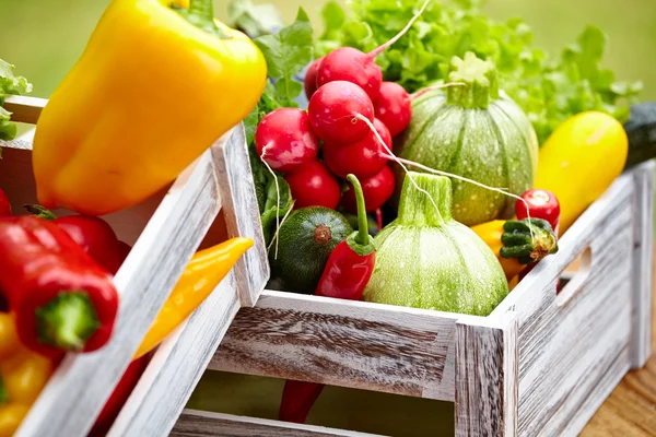 Verduras en una caja de madera — Foto de Stock