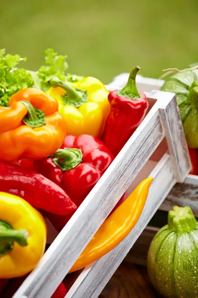 Pimentos em uma caixa de madeira — Fotografia de Stock