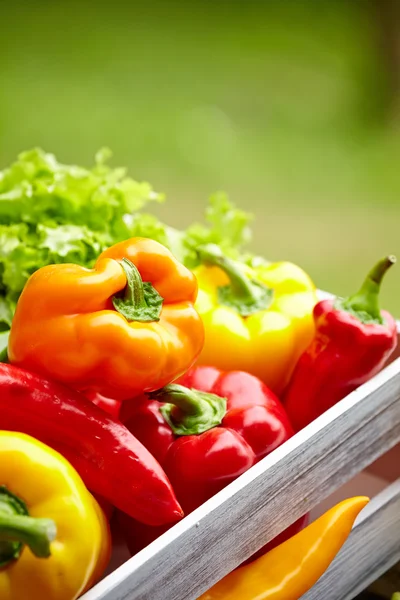 Pimentos em uma caixa de madeira — Fotografia de Stock