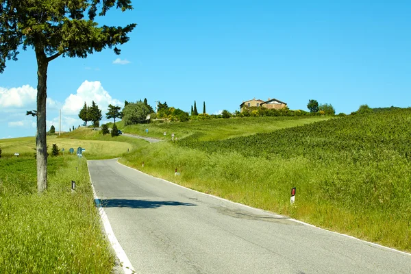 Estrada de campo na Toscana — Fotografia de Stock