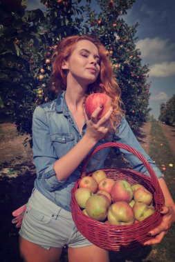 Onun sepette elma hasat meyve çiftçi kadın