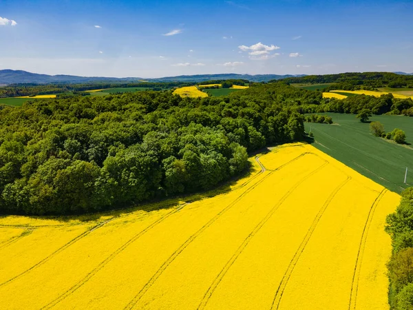 Bahar Sarı Tecavüz Alanlarının Havadan Görünümü Polonya — Stok fotoğraf