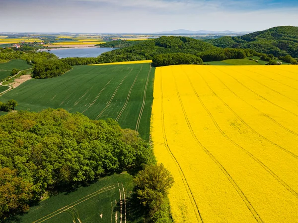Aerial View Yellow Rape Fields Spring Poland — Stock Photo, Image