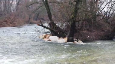 hızlı Nehri
