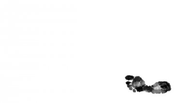 ayak izi. Beyaz adımlar