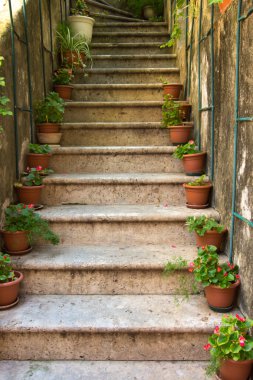 saksı ile taş merdiven