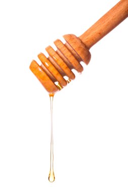 Tahta bir dereden damlayan bal