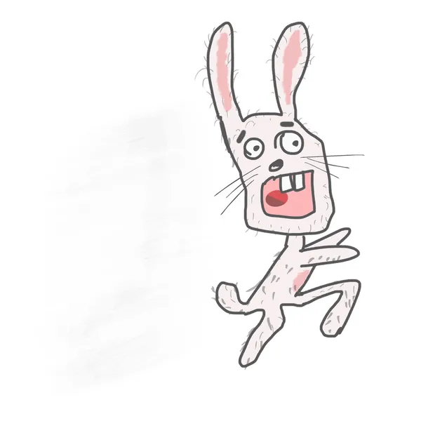 Hare on white — Stock Vector